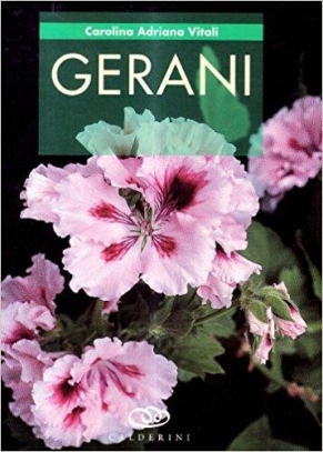 immagine 1 di Gerani