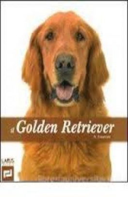 immagine 1 di Il Golden Retriever