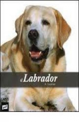 immagine 1 di Il Labrador