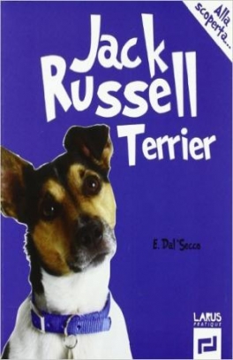 immagine 1 di Jack russell terrier