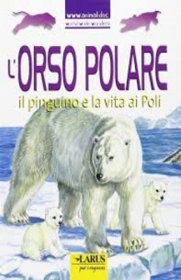 immagine 1 di L'orso polare