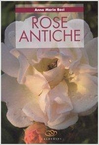 immagine 1 di Rose antiche